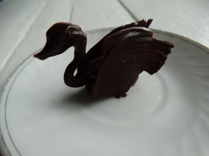 Декор из шоколада