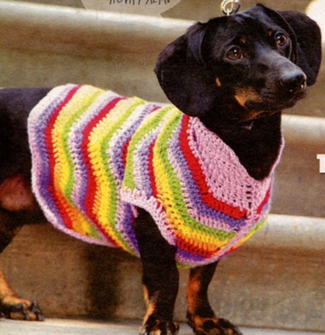 Летняя кофточка для собаки крючком