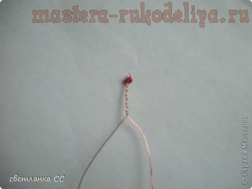 Пальма из бисера в пошаговом фото мастер-классе