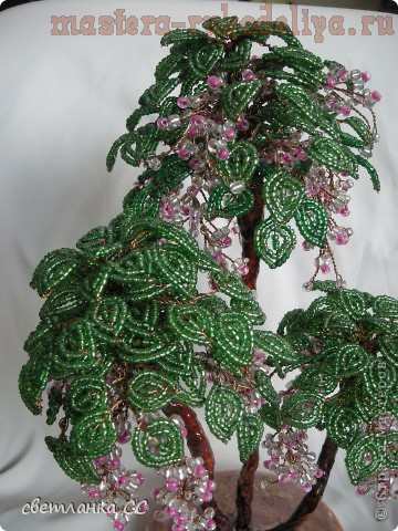 Пальма из бисера в пошаговом фото мастер-классе