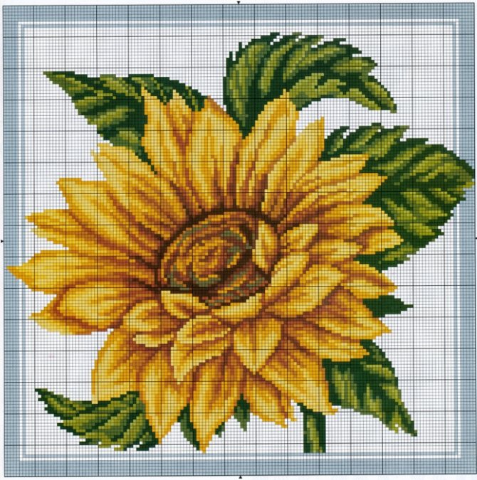 Подсолнух Вышивка