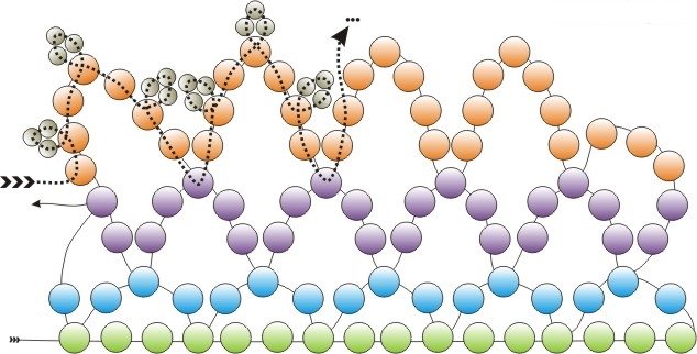 Схема плетения огалалы