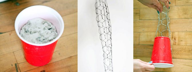 стебель-каркас