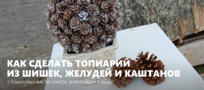 Топиарий из шишек