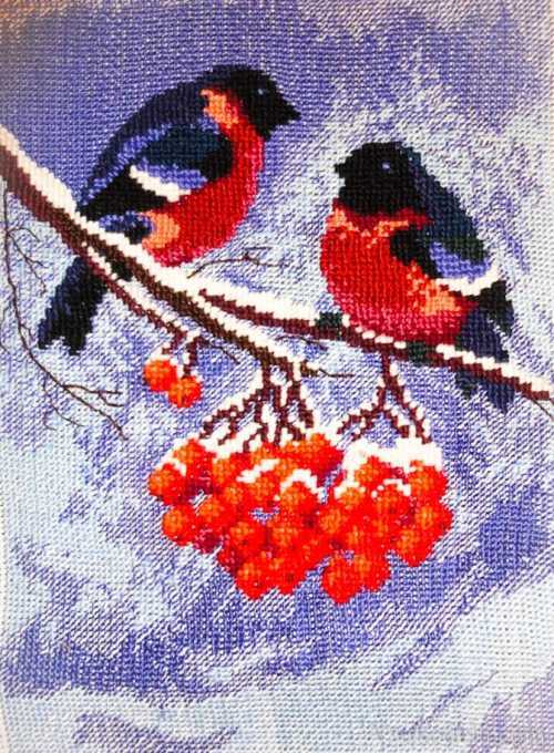 Вышивка крестом снегири и красивая подборка схем