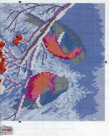 Вышивка крестом снегири и красивая подборка схем